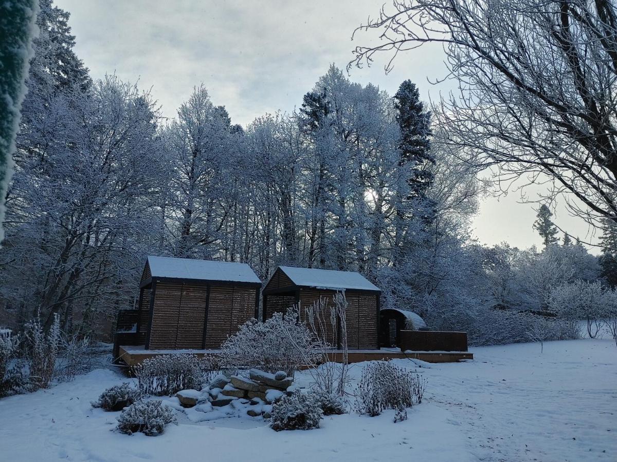 Chateau Murdock Gite Et Esthetique 1950 Chicoutimi 外观 照片